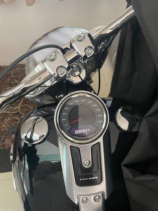 HARLEY-DAVIDSON SOFTAIL FAT BOY 
